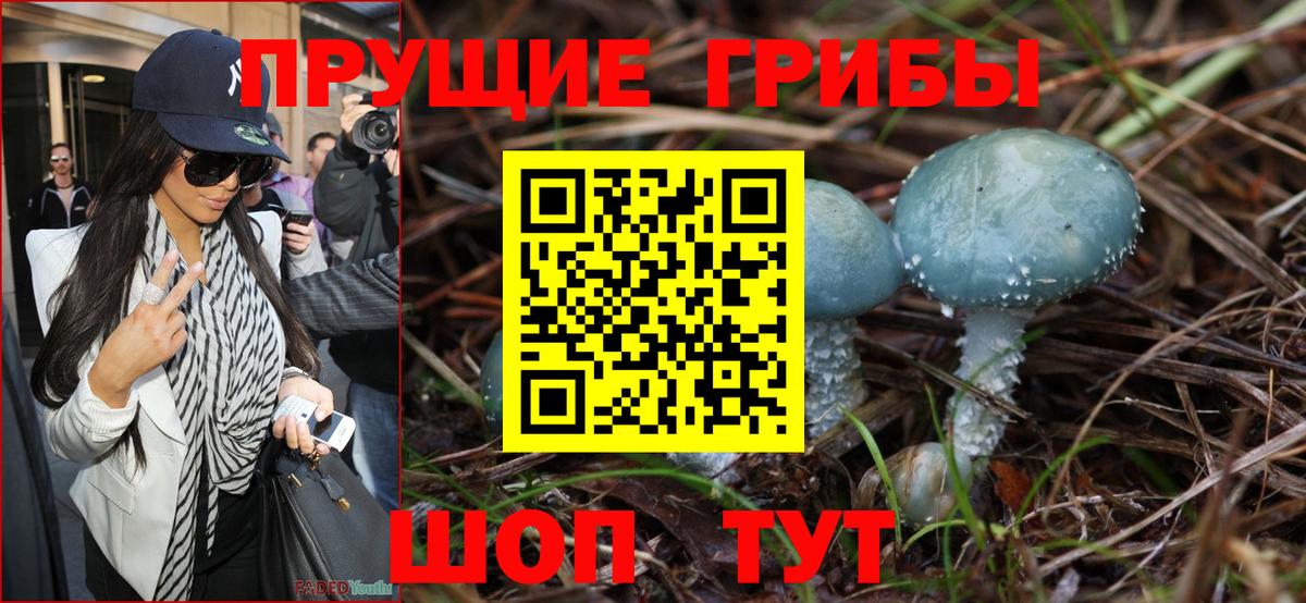 Галлюциногенные грибы Magic Shrooms Рассказово