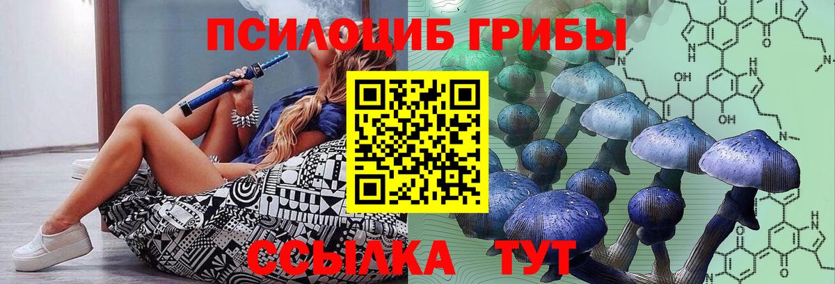 Рассказово  Псилоцибиновые грибы Cubensis  Галлюциногенные грибы GOLDEN TEACHER  Вход с VPN 